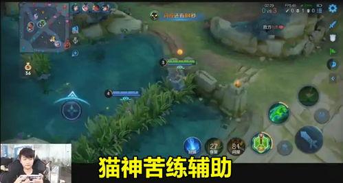 望月草最新爆料,揭秘娱乐圈惊天秘密  第3张